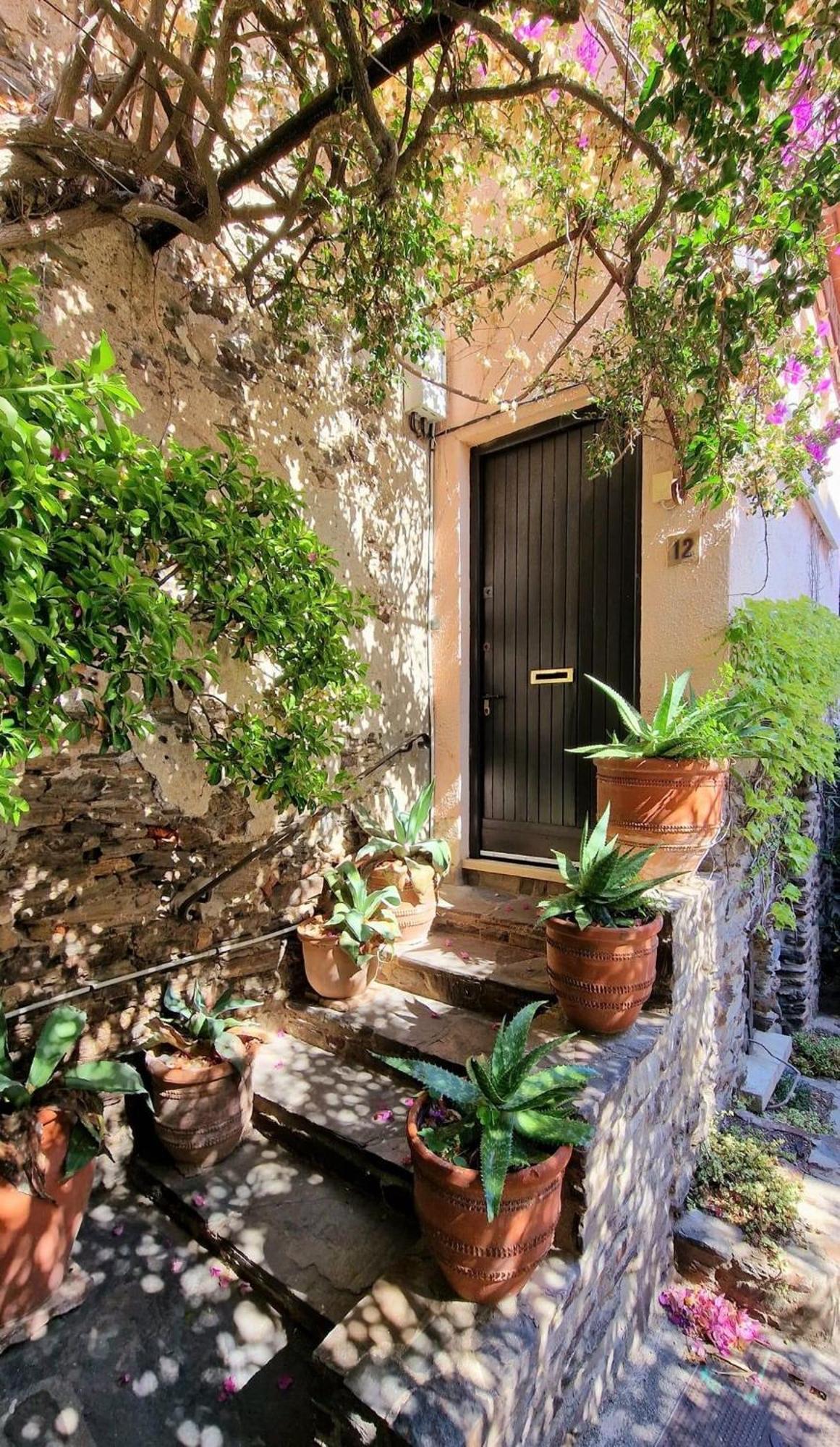 קוליור 5Rbut1 - Maison Familiale Sur Deux Niveaux En Plein Coeur Du Centre Ville מראה חיצוני תמונה